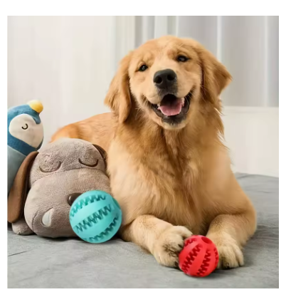 Dog Toy